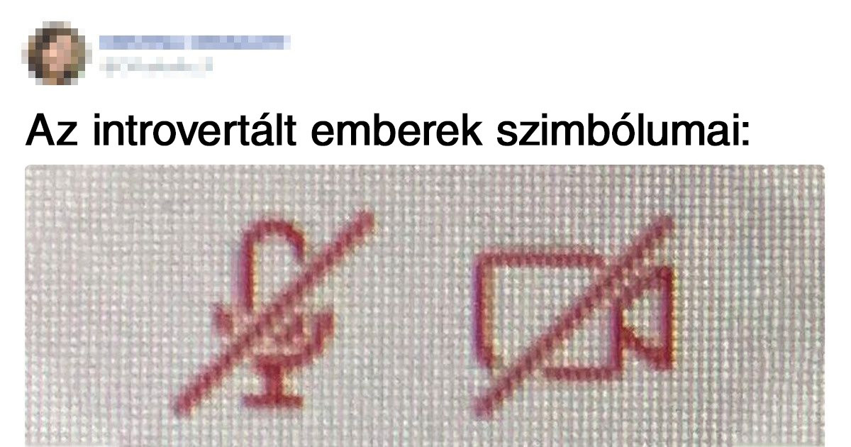 18 Tweet introvertált emberektől, akik belefáradtak már, hogy bizonygassák a világnak, hogy jól vannak