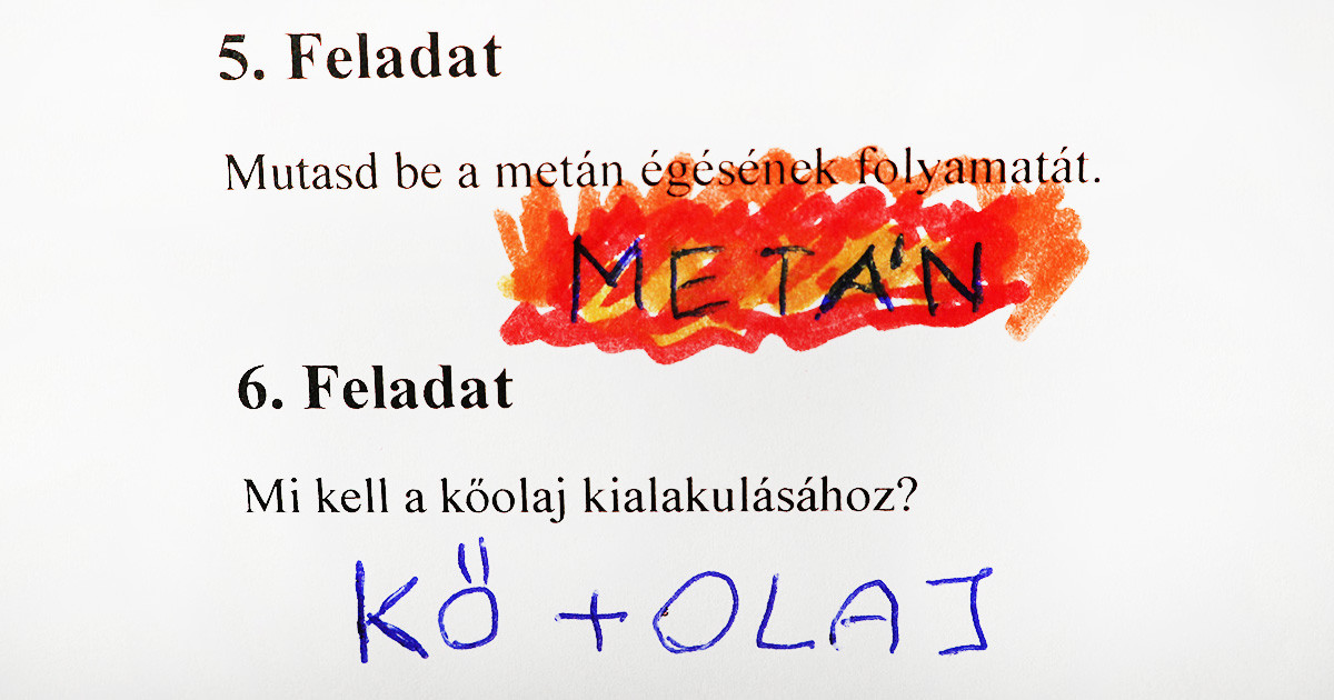 14 kisgyerek, aki szemérmetlenül kicselezte az oktatási rendszert