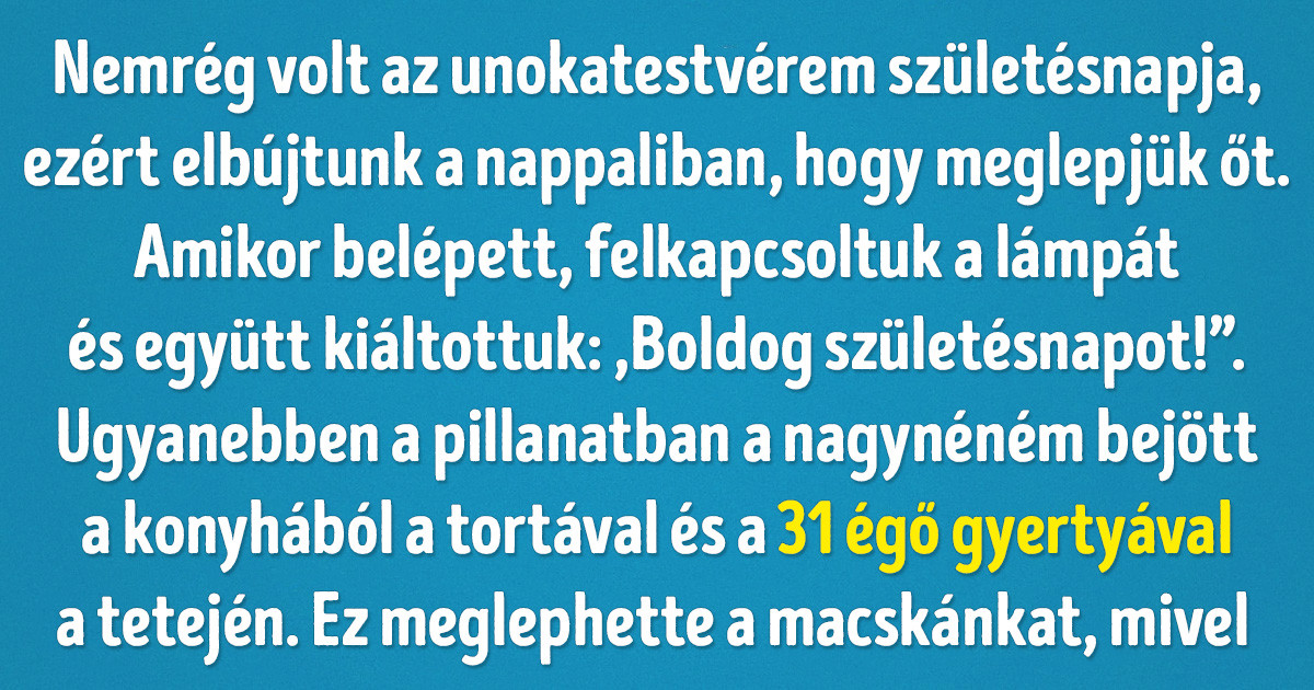 20+ abszurd helyzet, amivel csak a macskatulajdonosok találkozhatnak
