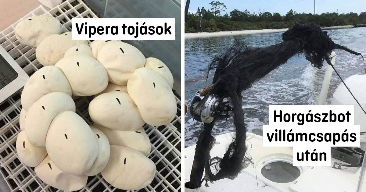 13 érdekes fotó olyan helyekről és dolgokról, amiket nem mindenkinek van szerencséje saját szemmel látni