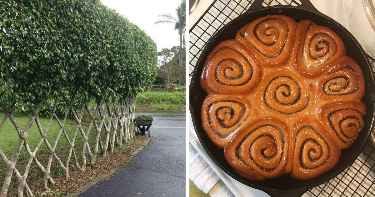 16 fotó, ami bizonyítja, hogy a tökéletesség mindenhol ott rejlik körülöttünk, csak nehezen vesszük észre