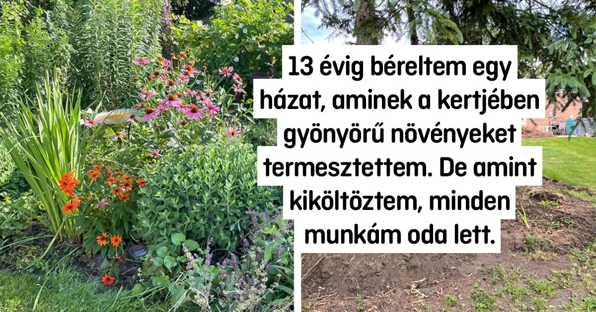 16 meglepő pillanat az albérletekben, amire nem voltak felkészülve a bérlők