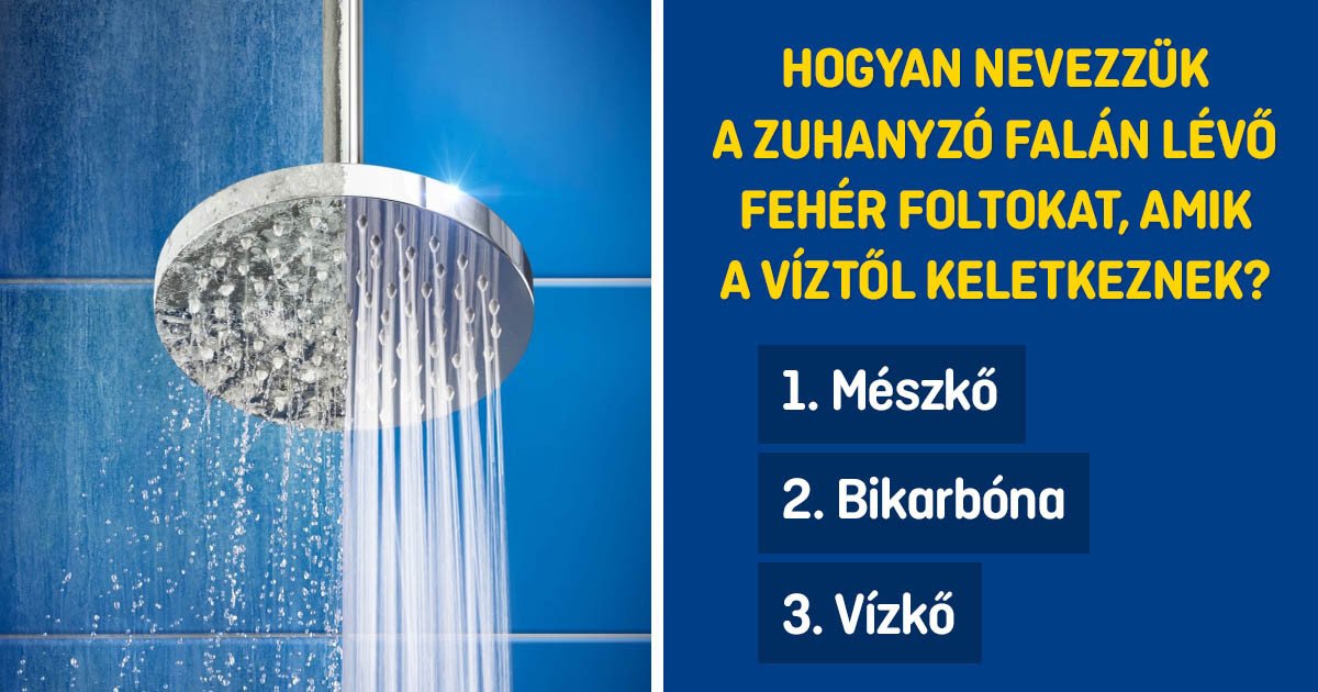 Csak egy háztartási szakértő képes legalább 12/15 pontot szerezni ezen a teszten