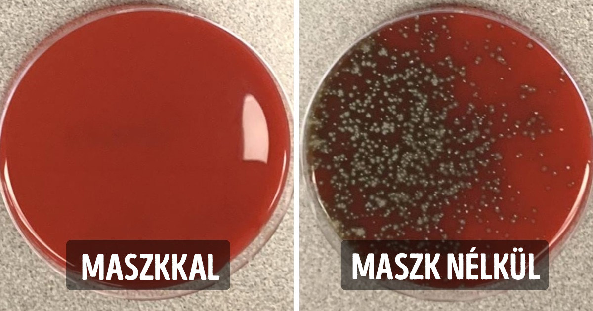 Egy amerikai tudós vizuális kísérlettel mutatta be, hogy mennyit számít a maszkviselés