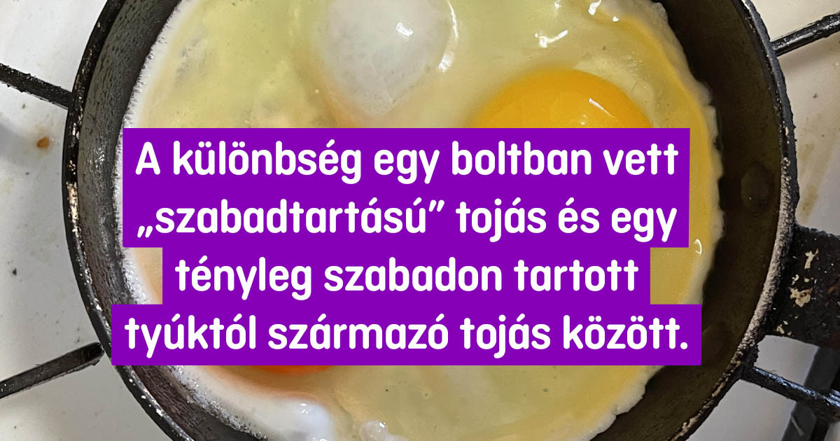 20+ fénykép-összehasonlítás, amik ezer szónál is többet mondanak