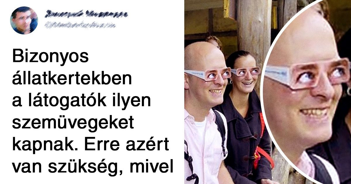17 tény az állatokról, amitől valószínűleg tátva marad a szád