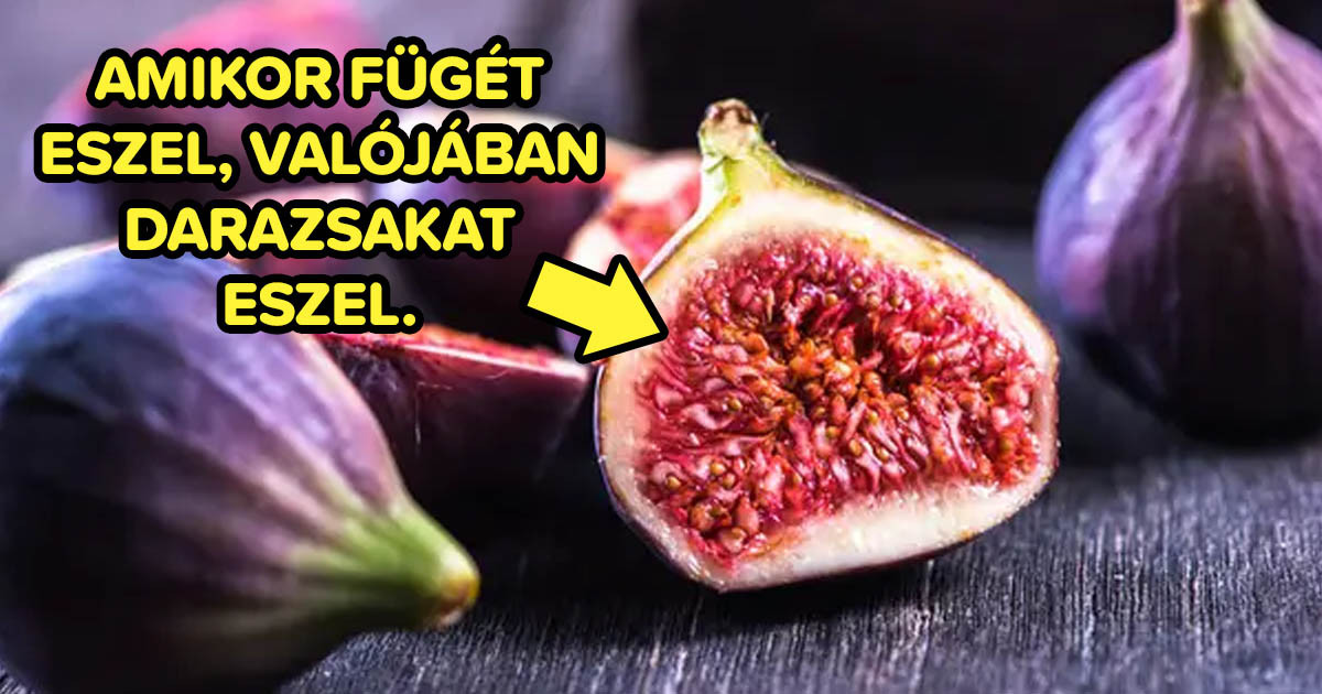 21 véletlenszerű tény az élelmiszerekről, amit első hallásra nagyon nehéz elhinni