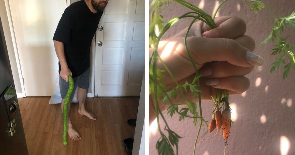 20 bizonyíték rá, hogy a kertészkedés világa tele van kalandokkal és meglepetésekkel