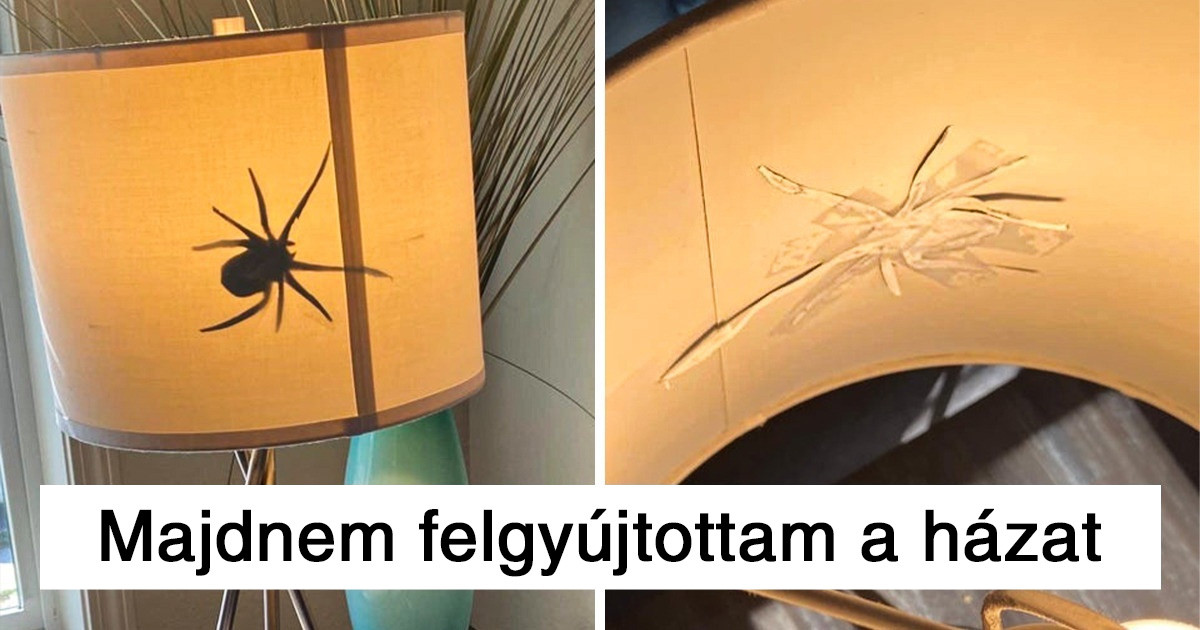 19 fotó, ami bizonyítja, hogy az élet néha rémisztőbb, mint bármely horror film