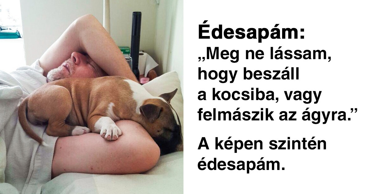 19 ember, aki nagyon nem akart háziállatot, ma pedig már nem tud nélküle élni