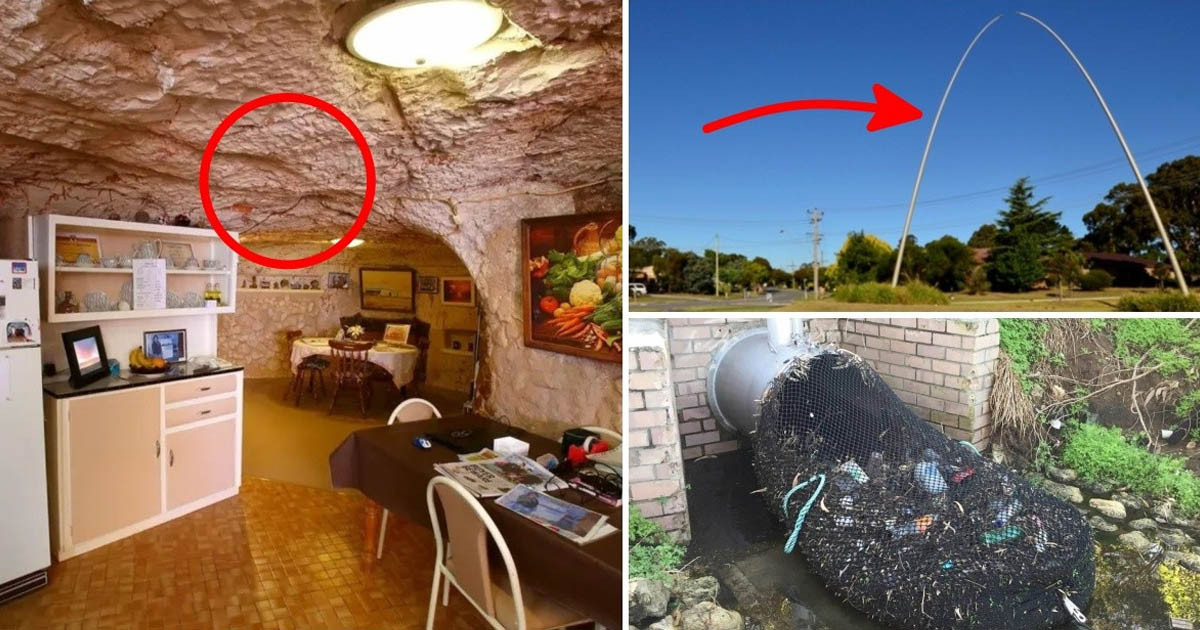 A pókokon és kengurukon túl: 14 fotó Ausztrália mindennapi életéről