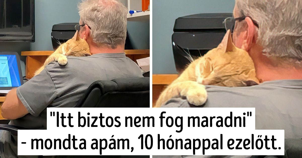 12 ember, aki azt mondta, hogy soha nem lesz háziállat az otthonában