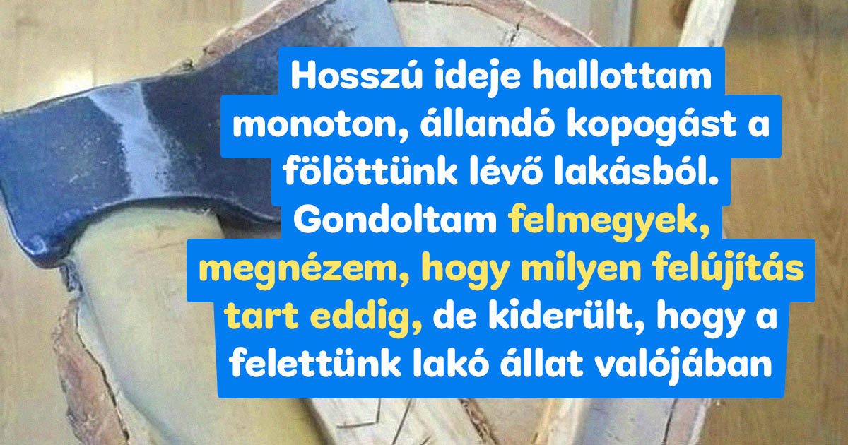 18 idegesítő helyzet, amitől még egy buddhista szerzetes is nyugtató után kapkodna