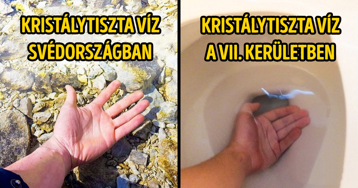 21 ember, aki a humorérzékének köszönhetően minden élethelyzetet sikerként él meg