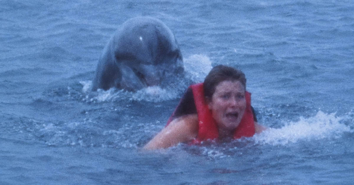 A nők valószínűleg másképp tekintenek majd a delfinekkel való játékra, ha megtudják, mi sülhet ki belőle. És a férfiaknak is óvatosabbnak kell lenniük