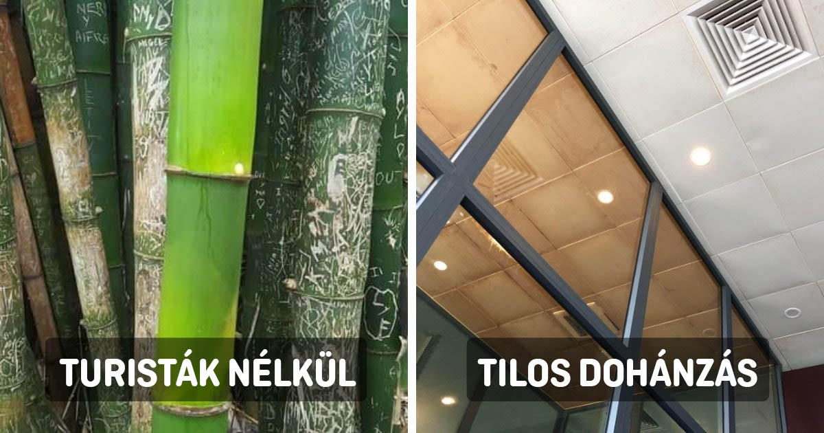 16 összehasonlító fotó, ami remek lehetőséget nyújt rá, hogy valami újat tanuljunk a világról