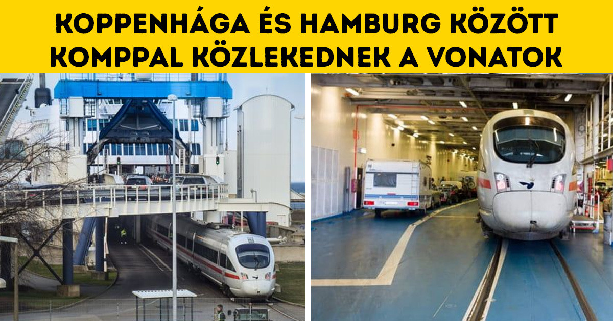 27 izgalmas tény, ami bizonyítja, hogy mennyire keveset tudunk a körülöttünk lévő világról