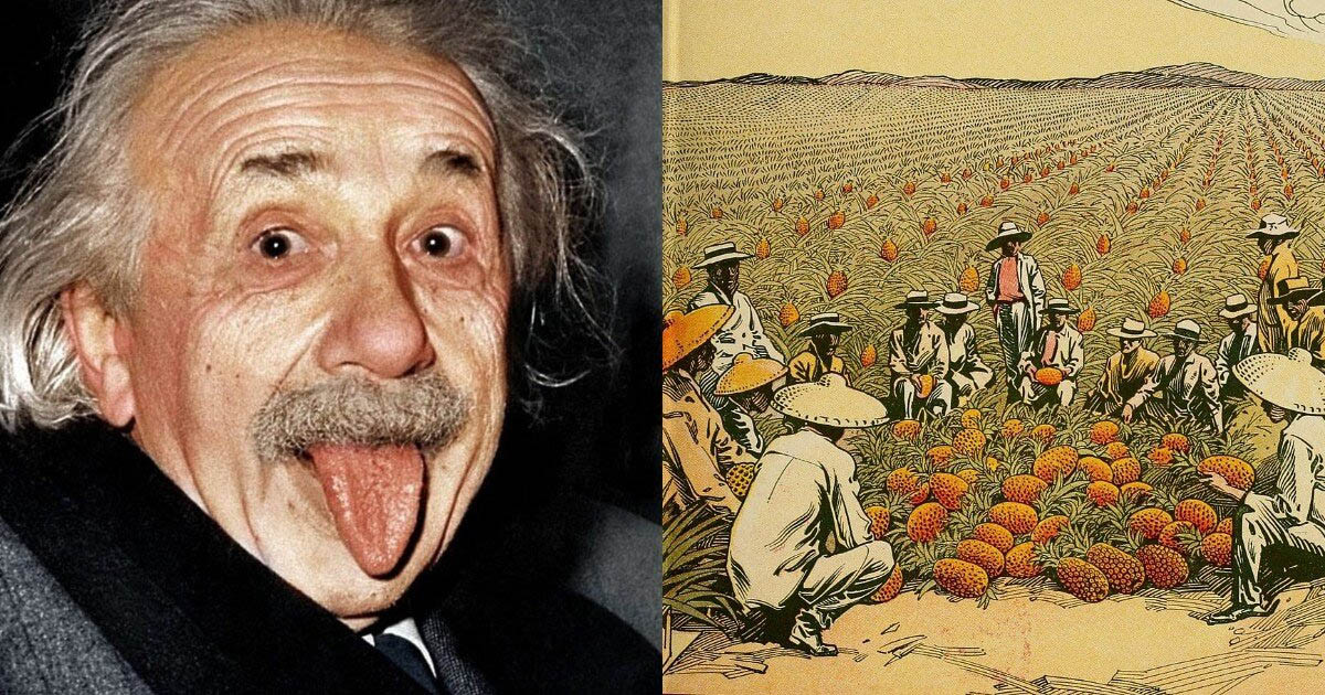 12 érdekes tény a világon mindenről