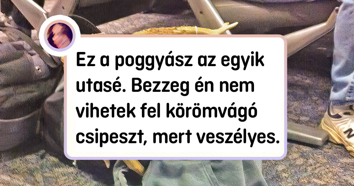 20 bizonyíték rá, hogy a repülőtereken és repülőgépeken bármibe belebotolhatsz