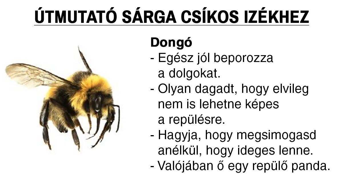 Valaki útmutatót készített a 'sárga csíkos izékhez', és ezt alighanem neked is látnod kell