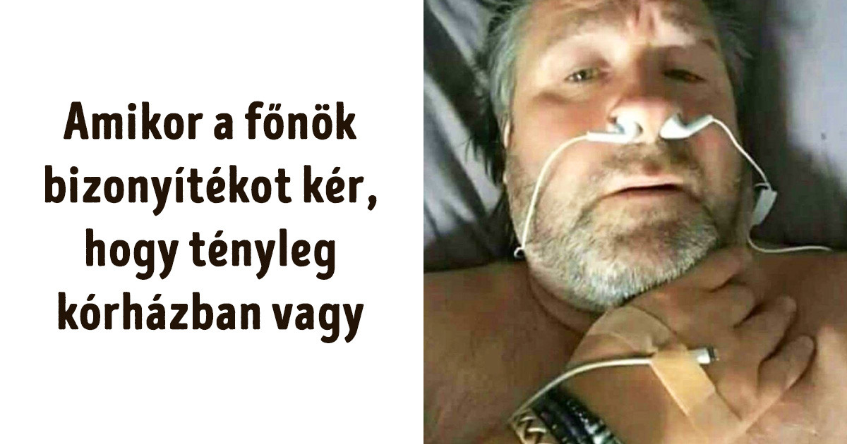 20 vicces mém a főnökökről, amit jobb, ha nem a munkahelyeden nézel meg