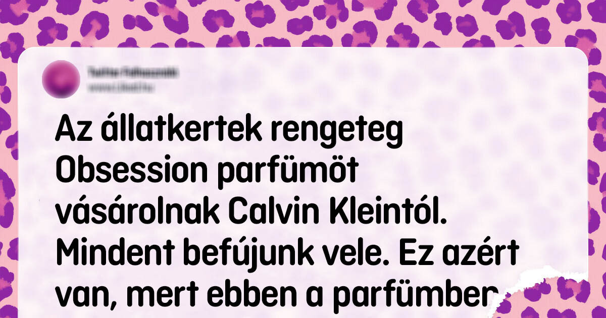 Az állatkerti dolgozók olyan titkokat osztottak meg, amiket a hétköznapi látogatók soha nem tudhatnának