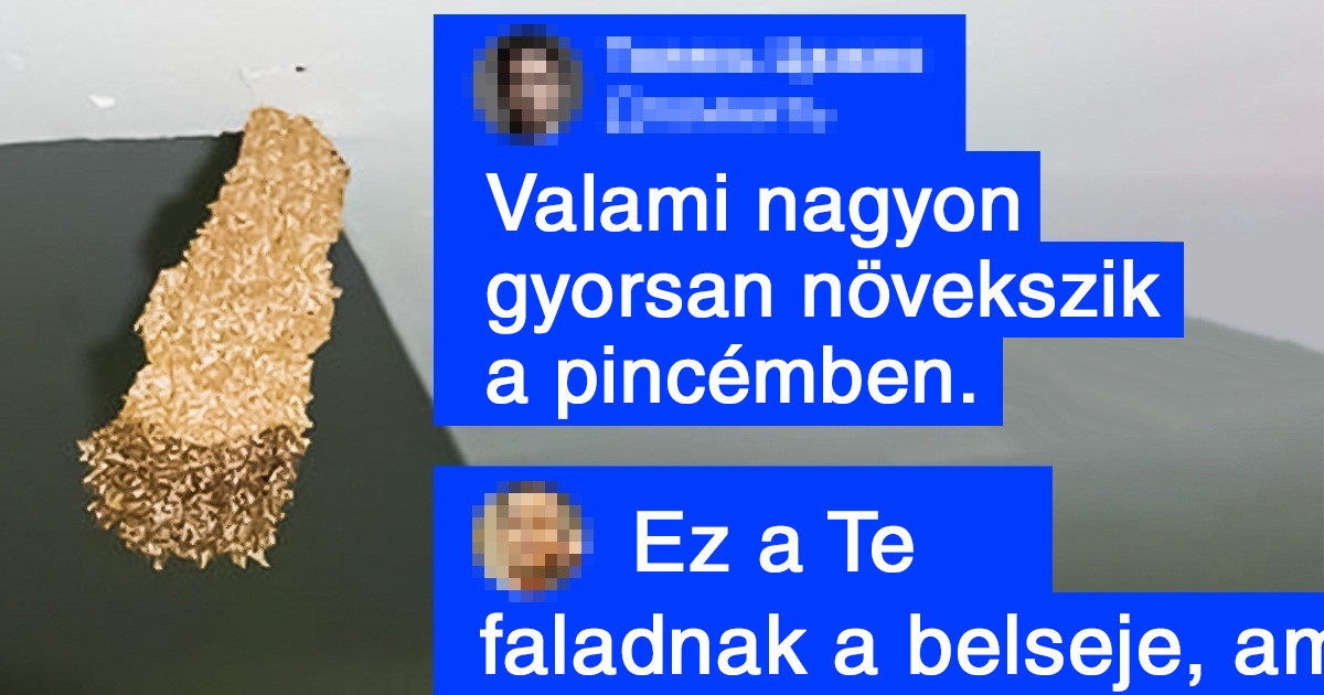 17 ember, aki bármikor szívesen elcserélné veled a problémáit