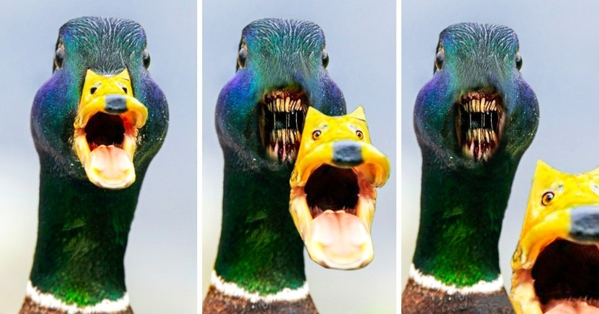 20 ember, akit örökre el kellene tiltani a Photoshoptól