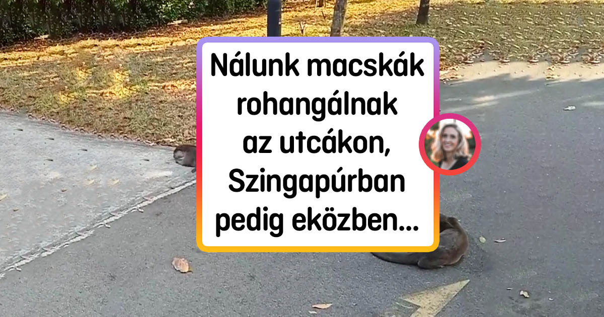 19 bizonyíték rá, hogy Szingapúr nem a Földről, hanem valószínűleg egy ismeretlen bolygóról származik
