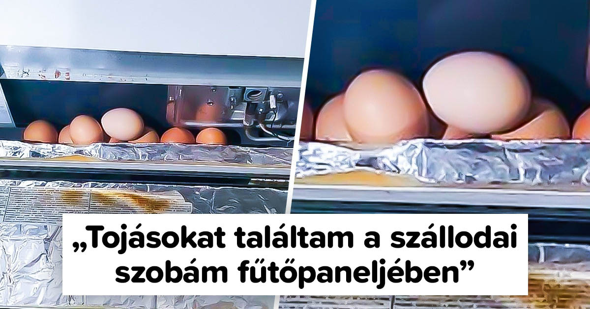 21 szokatlan dolog, amit az utazók fedeztek fel a világ különböző szállodáiban