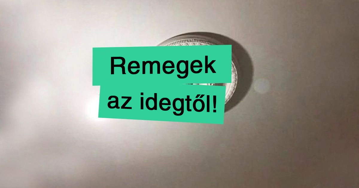 21 ember, akik "jóvanazúgy" üzemmódban dolgoztak, és ennek látványos kudarc lett az eredménye