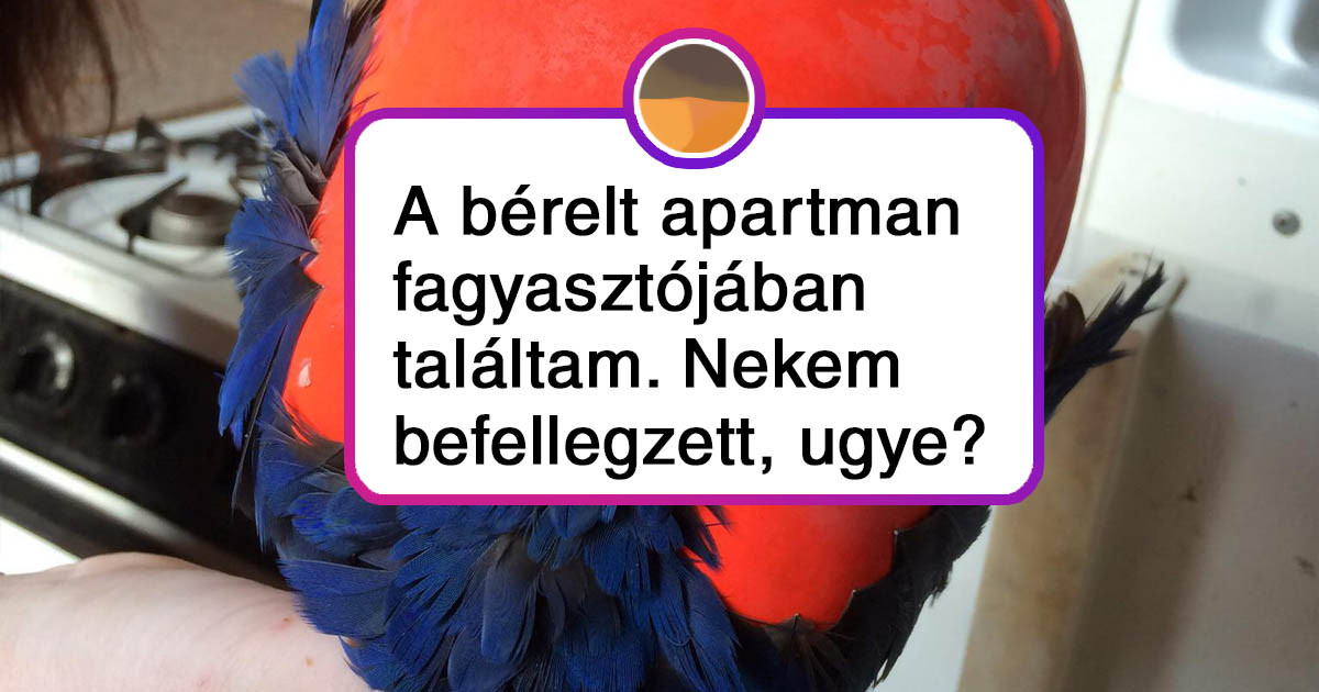 16 ember, akik legközelebb inkább egy padon töltik az éjszakát, mintsem, hogy szállást foglaljanak az interneten