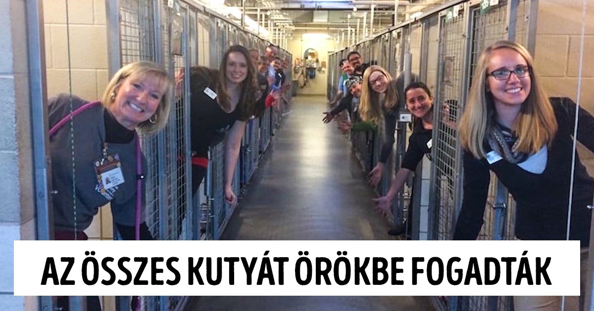 20 megható fotó, amitől még egy hűvös őszi nap is melegebbnek tűnik