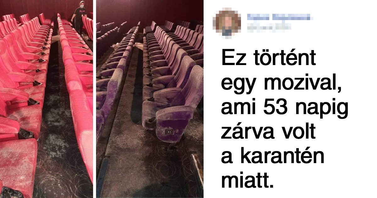 19 világos válasz a "mi történik, ha…" kérdésekre, amit mindig is tudni akartunk