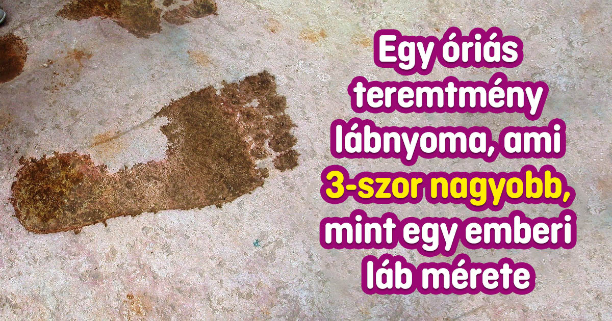 8 titokzatos tárgy, ami még a tudósokat is összezavarta
