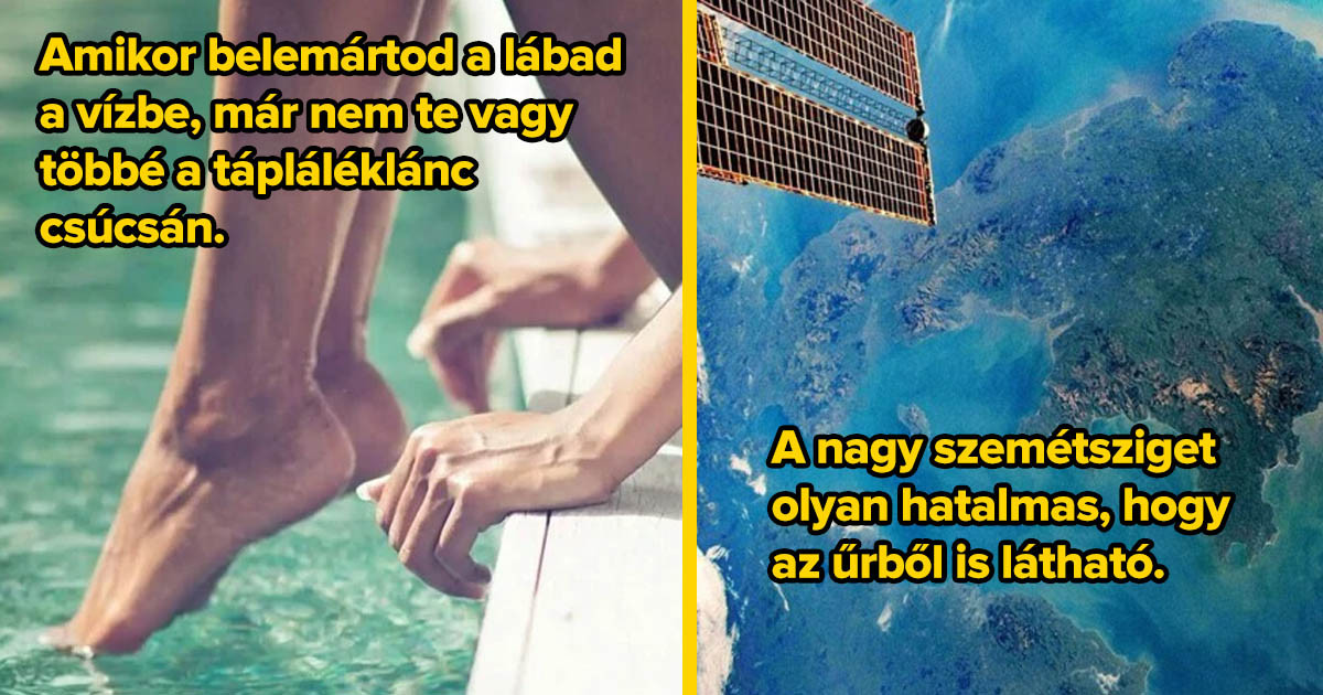 25 nem túl kellemes tény a világ óceánjairól