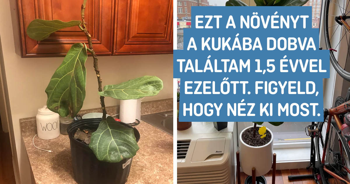 17 ember "előtte-utána" fotókat osztott meg, amiken szabad szemmel is láthatóak a változások