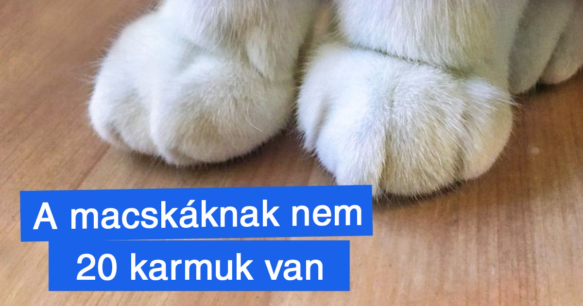 Az anyatermészet 15 különleges találmánya, amitől egészen a padlóig fog esni az állad