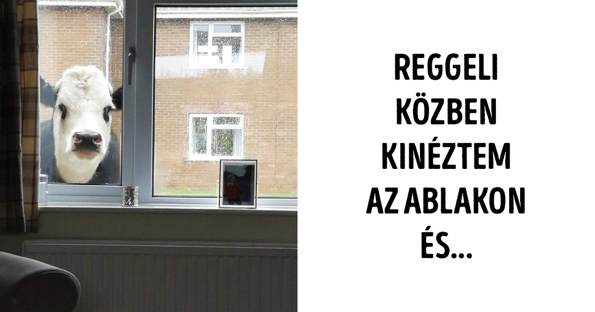 20 fotó és a hozzá kapcsolódó történet, amit ha nem látnánk a saját szemünkkel, valószínűleg el sem akarnánk hinni
