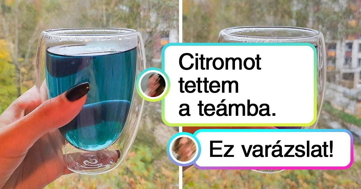 16 tény a mindennapi életből, aminek köszönhetően más szemszögből fogod nézni a világot