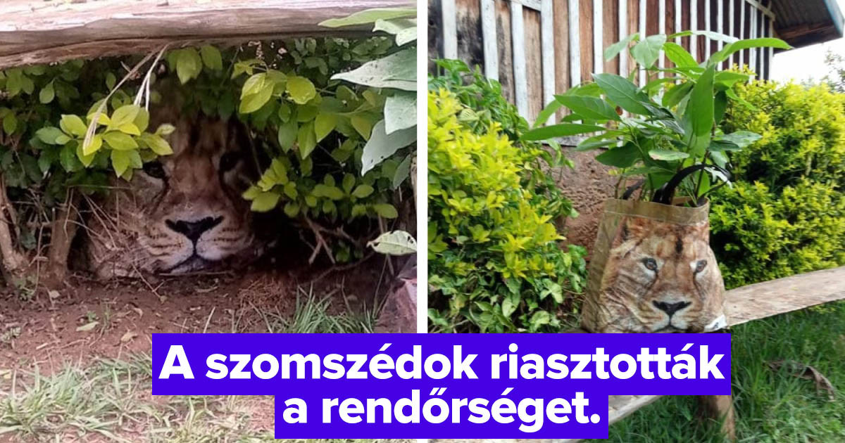 16 tréfamester, akinél egy nap sem telik el anélkül, hogy viccet csinálna valakiből