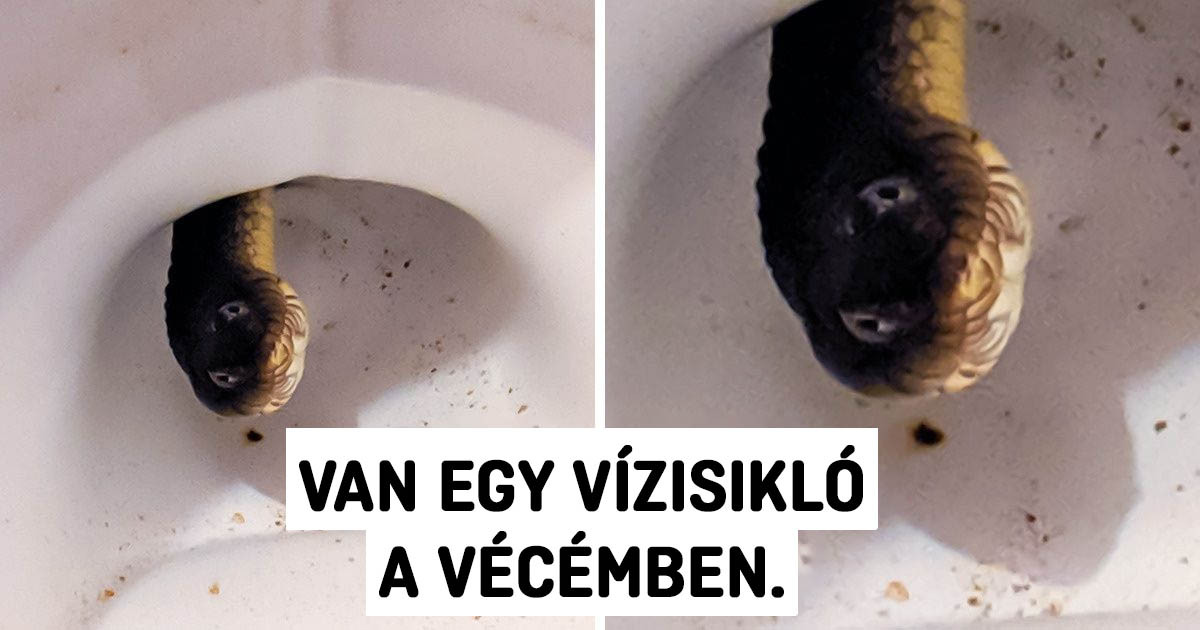 20 ember, akit a legváratlanabb helyen és pillanatban ért utol a balszerencse