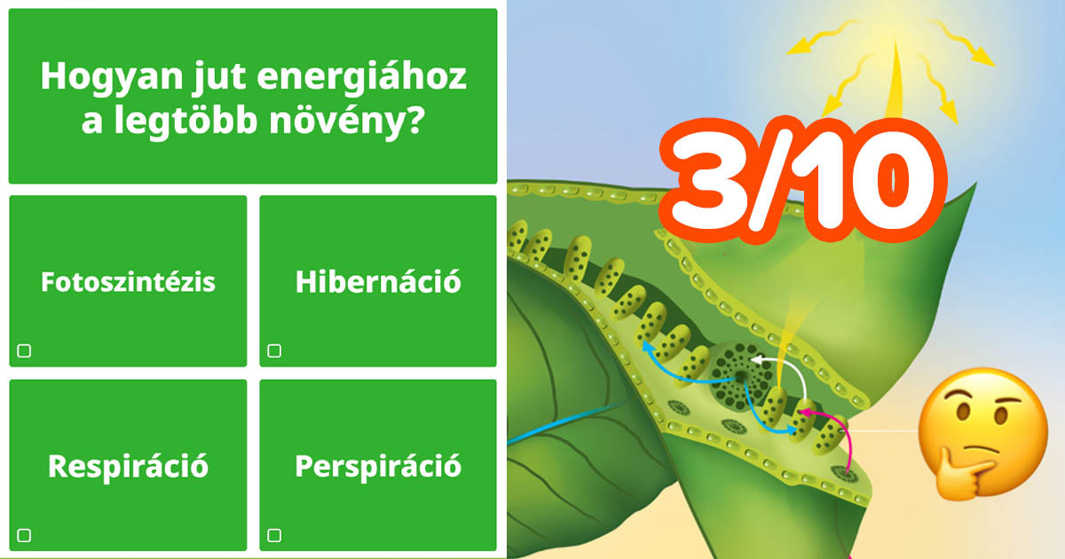 Ezen a harmadik osztályos tudományos kvízen az emberek 80%-a megbukik