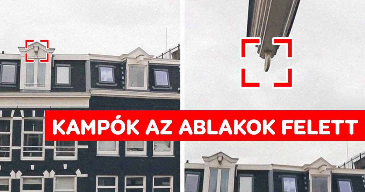 A turisták elmesélték a legmeglepőbb tényeket Hollandiáról, ami csak a helyiek szerint normális