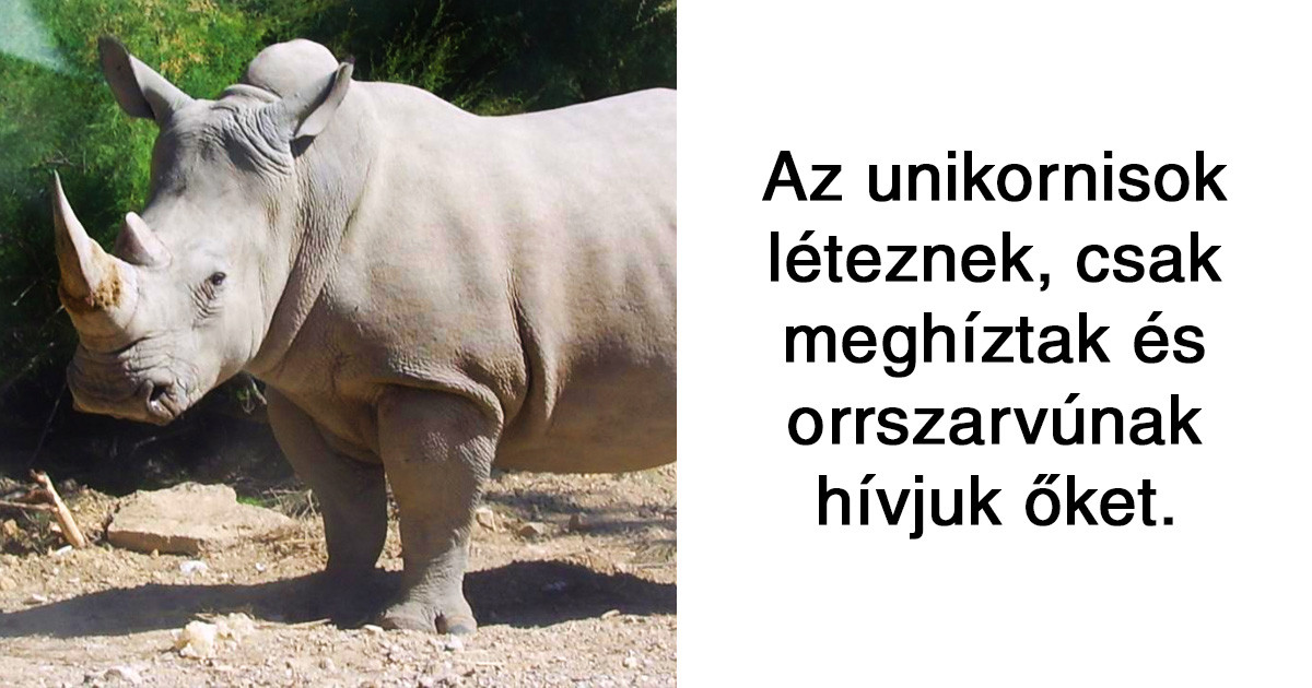 20 vicces tény a világról, melyek akár igazak is lehetnének