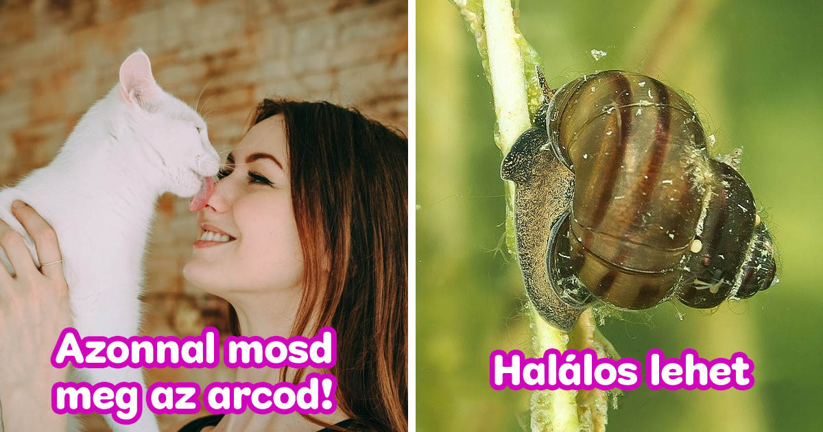 9 dolog, ami első pillantásra ártalmatlannak tűnik, de valójában nagyon veszélyes