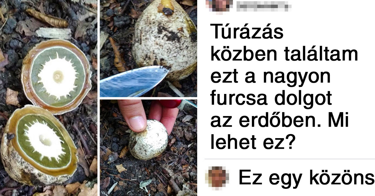16 titokzatos felfedezés, ami az egész interneten lázba hozta
