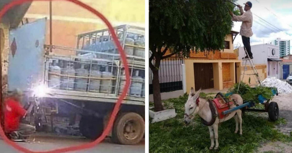 19 fotó, aminek a hősei megfeledkeztek a biztonsági intézkedésekről, és ezt nézni is ijesztő volt