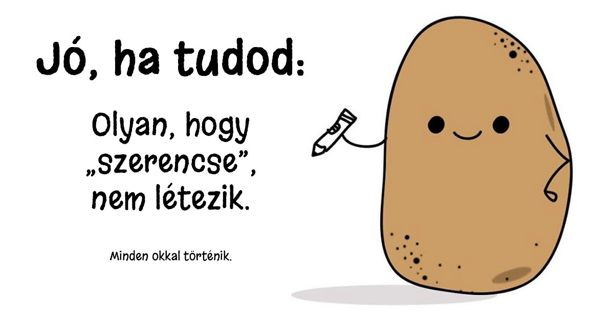 15 életre szóló igazság, egy aranyos és bölcs krumplitól