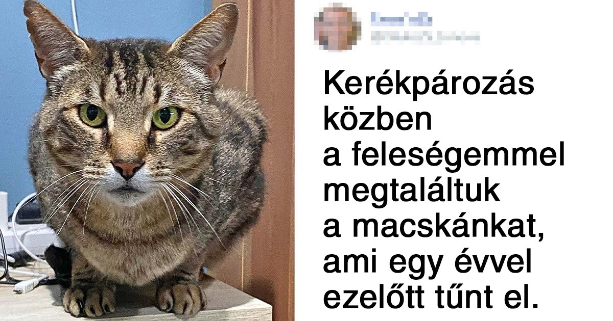 19 esemény, aminek körülbelül egy a millióhoz valószínűsége volt és mégis megtörtént